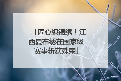 匠心织锦绣！江西夏布绣在国家级赛事斩获殊荣
