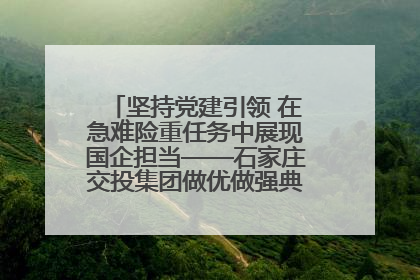 坚持党建引领 在急难险重任务中展现国企担当——石家庄交投集团做优做强典型报道之一