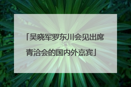 吴晓军罗东川会见出席青洽会的国内外嘉宾