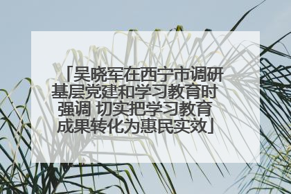 吴晓军在西宁市调研基层党建和学习教育时强调 切实把学习教育成果转化为惠民实效