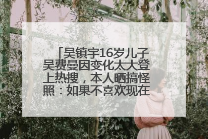 吴镇宇16岁儿子吴费曼因变化太大登上热搜，本人晒搞怪照：如果不喜欢现在的我可以离开