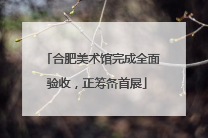 合肥美术馆完成全面验收，正筹备首展