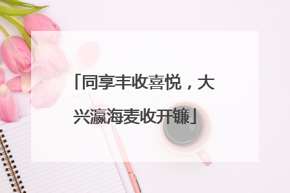 同享丰收喜悦，大兴瀛海麦收开镰
