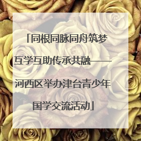 同根同脉同舟筑梦 互学互助传承共融——河西区举办津台青少年国学交流活动
