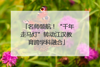 名师领航！“千年走马灯”转动江汉教育跨学科融合