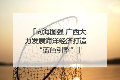 向海图强 广西大力发展海洋经济打造“蓝色引擎”