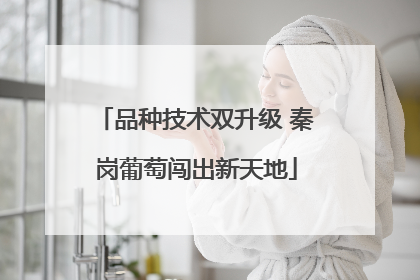 品种技术双升级 秦岗葡萄闯出新天地