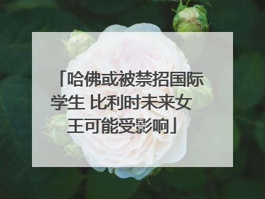 哈佛或被禁招国际学生 比利时未来女王可能受影响