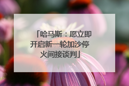 哈马斯：愿立即开启新一轮加沙停火间接谈判