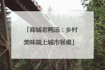商城老鸭汤：乡村美味端上城市餐桌