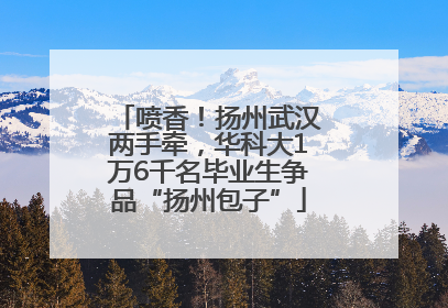 喷香！扬州武汉两手牵，华科大1万6千名毕业生争品“扬州包子”