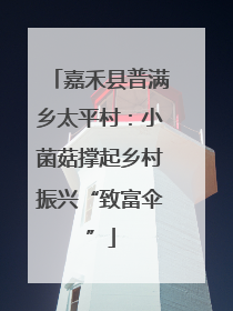嘉禾县普满乡太平村：小菌菇撑起乡村振兴“致富伞”