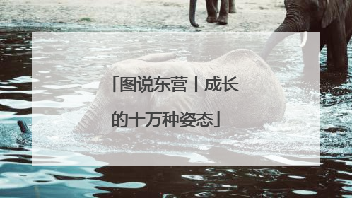 图说东营丨成长的十万种姿态