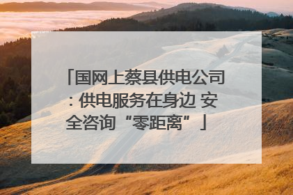 国网上蔡县供电公司：供电服务在身边 安全咨询“零距离”