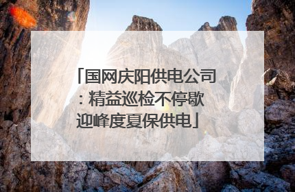 国网庆阳供电公司：精益巡检不停歇 迎峰度夏保供电