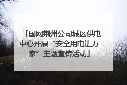 国网荆州公司城区供电中心开展“安全用电进万家”主题宣传活动