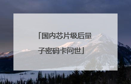 国内芯片级后量子密码卡问世