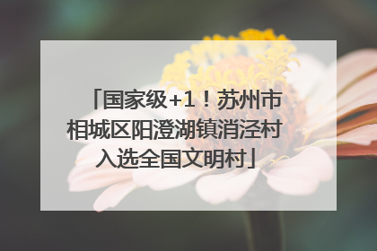 国家级+1！苏州市相城区阳澄湖镇消泾村入选全国文明村