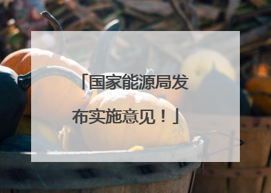 国家能源局发布实施意见！