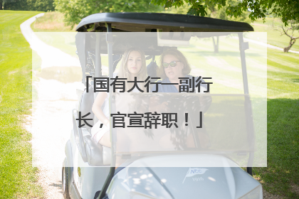 国有大行一副行长，官宣辞职！