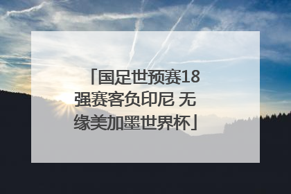国足世预赛18强赛客负印尼 无缘美加墨世界杯