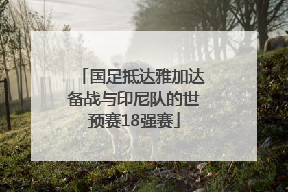 国足抵达雅加达备战与印尼队的世预赛18强赛