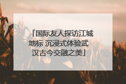 国际友人探访江城地标 沉浸式体验武汉古今交融之美
