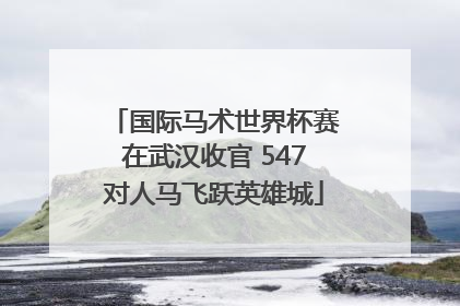国际马术世界杯赛在武汉收官 547对人马飞跃英雄城
