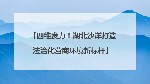 四维发力！湖北沙洋打造法治化营商环境新标杆