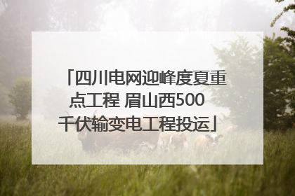 四川电网迎峰度夏重点工程 眉山西500千伏输变电工程投运