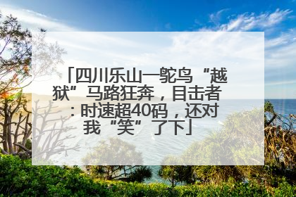 四川乐山一鸵鸟“越狱”马路狂奔，目击者：时速超40码，还对我“笑”了下