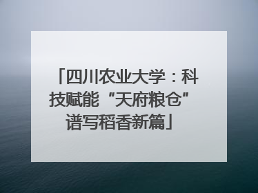 四川农业大学：科技赋能“天府粮仓”谱写稻香新篇