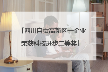 四川自贡高新区一企业荣获科技进步二等奖