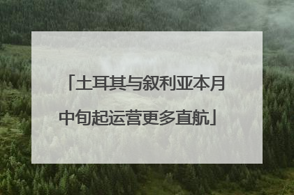 土耳其与叙利亚本月中旬起运营更多直航