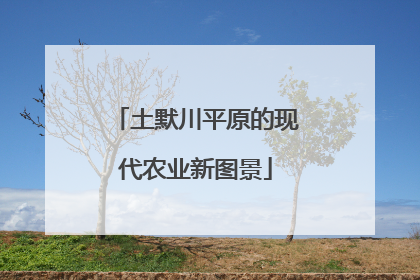 土默川平原的现代农业新图景