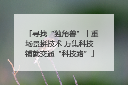 寻找“独角兽”丨重场景拼技术 万集科技铺就交通“科技路”