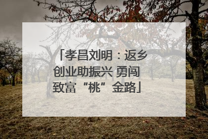 孝昌刘明：返乡创业助振兴 勇闯致富“桃”金路