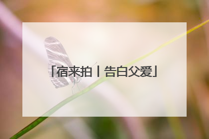 宿来拍丨告白父爱