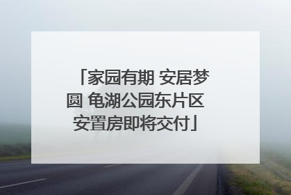 家园有期 安居梦圆 龟湖公园东片区安置房即将交付