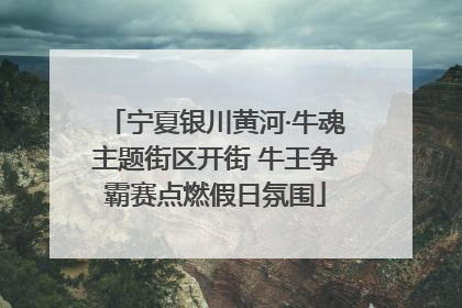 宁夏银川黄河·牛魂主题街区开街 牛王争霸赛点燃假日氛围