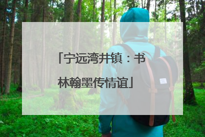 宁远湾井镇：书林翰墨传情谊