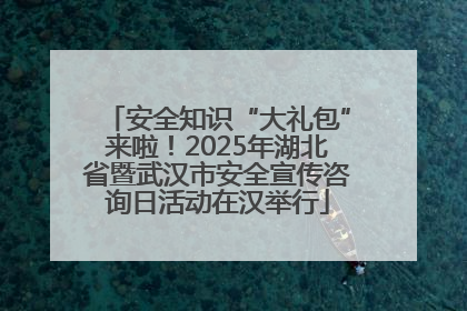 安全知识“大礼包”来啦！2025年湖北省暨武汉市安全宣传咨询日活动在汉举行