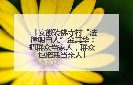 安徽砖佛寺村“法律明白人”金其华：把群众当家人，群众也把我当亲人