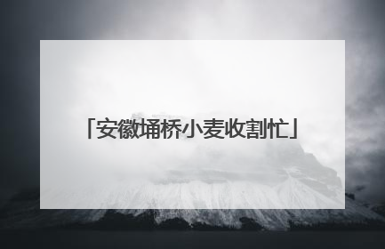 安徽埇桥小麦收割忙