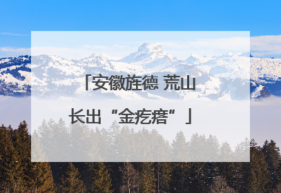安徽旌德 荒山长出“金疙瘩”