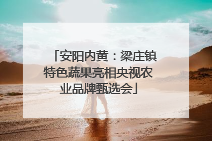安阳内黄：梁庄镇特色蔬果亮相央视农业品牌甄选会