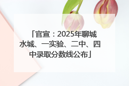 官宣：2025年聊城水城、一实验、二中、四中录取分数线公布