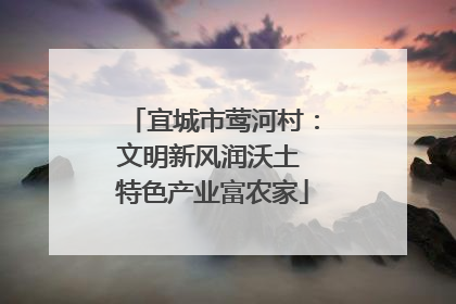 宜城市莺河村：文明新风润沃土 特色产业富农家