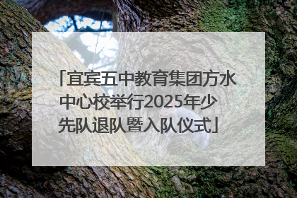 宜宾五中教育集团方水中心校举行2025年少先队退队暨入队仪式