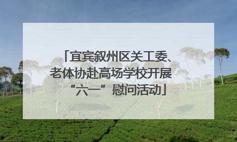 宜宾叙州区关工委、老体协赴高场学校开展“六一”慰问活动